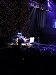 Het concert in volle gang